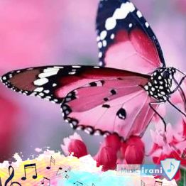 دانلود آهنگ بیا کاری کن ای همنشینم خدارو تو چشای نازت ببینم ریمیکس تند دانلود آهنگ بیا کاری کن ای همنشینم خدارو تو چشای نازت ببینم ریمیکس تند
