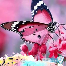 دانلود آهنگ حبیبی کام تو قزوین اینجا اصلا دولا نشین ( ریمیکس اینستا ) دانلود آهنگ حبیبی کام تو قزوین اینجا اصلا دولا نشین ( ریمیکس اینستا )