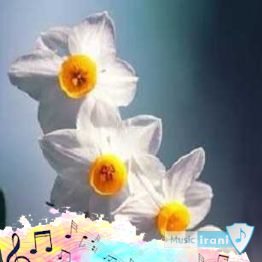دانلود آهنگ تو اگه چشات مشکی باشه مشکی قشنگه با صدای زن کامل دانلود آهنگ تو اگه چشات مشکی باشه مشکی قشنگه با صدای زن کامل