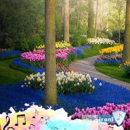 دانلود آهنگ etolubov pritiazhenie ترانه ( جاذبه من ) از اتولوبوف با صدای زن ریمیکس دانلود آهنگ etolubov pritiazhenie ترانه ( جاذبه من ) از اتولوبوف با صدای زن ریمیکس