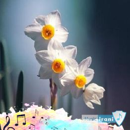 دانلود آهنگ سنی منن الا بیلمزلر هچکس ( ریمیکس با صدای زن مرد اینستا تند بیس دار ) دانلود آهنگ سنی منن الا بیلمزلر هچکس ( ریمیکس با صدای زن مرد اینستا تند بیس دار )