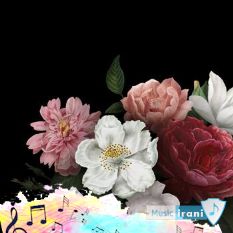 دانلود اهنگ ride it با صدای زن بچه مرد ریمیکس تیک تاک تند بیس دار دانلود اهنگ ride it با صدای زن بچه مرد ریمیکس تیک تاک تند بیس دار
