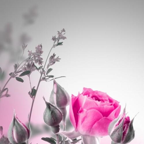 دانلود اهنگ hayedeh eshareh ریمیکس بیس دار ( بازم اشکای چشمام هایده ریمیکس ) دانلود اهنگ hayedeh eshareh ریمیکس بیس دار ( بازم اشکای چشمام هایده ریمیکس )