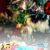 دانلود آهنگ مری کریسمس merry christmas کریسمس مبارک خارجی هپی نیو یر 2025