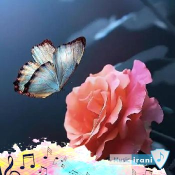 دانلود آهنگ عمرم بند است به سر مویی اینستا از حسین نورشرق و افتخاری ریمیکس دانلود آهنگ عمرم بند است به سر مویی اینستا از حسین نورشرق و افتخاری ریمیکس