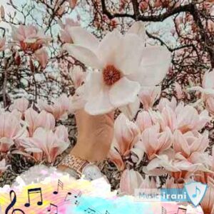 دانلود آهنگ رپ خنده داره نه ریمیکس ترکیبی غمگین اینستا دانلود آهنگ رپ خنده داره نه ریمیکس ترکیبی غمگین اینستا