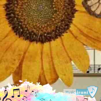 دانلود آهنگ دیگه نوری نی تو این شبام ریمیکس با صدای زن اینستا کامل دانلود آهنگ دیگه نوری نی تو این شبام ریمیکس با صدای زن اینستا کامل