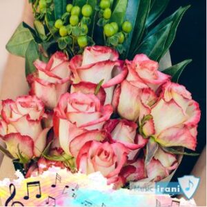 دانلود آهنگ  برایم بهانه نکو بیا که چکر برویم کامل اینستا (افغانی با صدای زن مرد)