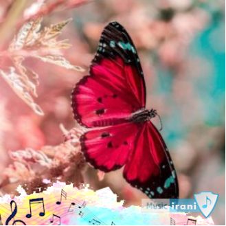 دانلود آهنگ جدید شادمهر پیش تو ریمیکس ( شب های بی تو دل آشوبه تا خود صبح )