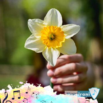 دانلود آهنگ دختر بدی نبودم با تو شدم بد با صدای زن دختر اینستا ( ریمیکس کامل ) دانلود آهنگ دختر بدی نبودم با تو شدم بد با صدای زن دختر اینستا ( ریمیکس کامل )