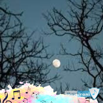 دانلود آهنگ زمینی نیستی دختر خدا ریمیکس اینستا ترند ( اصلی )