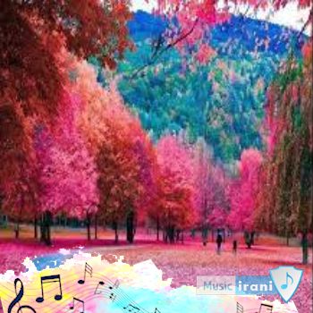 دانلود آهنگ دس چشات دلی دلی شعر یادوم رفت با صدای زن دختر مرد اینستا ( گروه سیریا ) دانلود آهنگ دس چشات دلی دلی شعر یادوم رفت با صدای زن دختر مرد اینستا ( گروه سیریا )