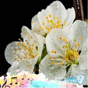 دانلود آهنگ میچینم هفت سین کنار دلدارم مهستی هوش مصنوعی دانلود آهنگ میچینم هفت سین کنار دلدارم مهستی هوش مصنوعی