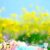 دانلود اهنگ یار عزیزم بی مو جر کرده با صدای زن دختر دیارا ( کامل اینستا )
