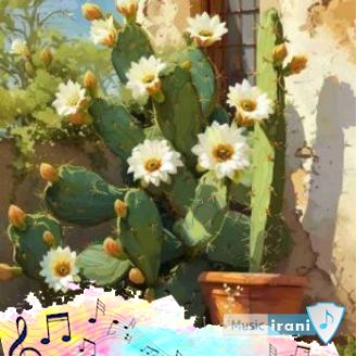 دانلود آهنگ  بیبی دوست داره کنم تاچش ریمیکس اینستا
