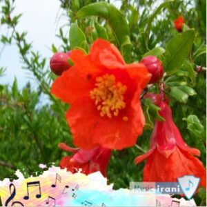 دانلود آهنگ اون روز و میبینم بگردی دنبالم هوش مصنوعی ریمیکس دانلود آهنگ اون روز و میبینم بگردی دنبالم هوش مصنوعی ریمیکس