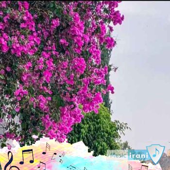 دانلود آهنگ بیا برقصیم تانگو بریز تو دستای من اون موهای لانگو ( اهنگ بیا برقصیم تانگو کامل ریمیکس ) دانلود آهنگ بیا برقصیم تانگو بریز تو دستای من اون موهای لانگو ( اهنگ بیا برقصیم تانگو کامل ریمیکس )