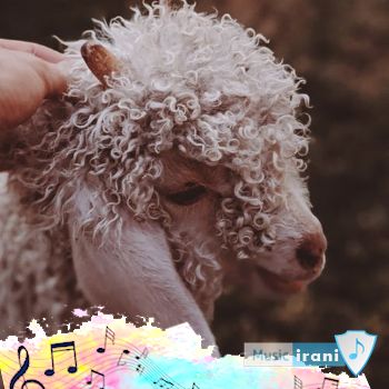 دانلود آهنگ ببعی تو بازیگوشی ورژن خارجی ( ریمیکس اینستا صدای زن مرد )