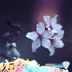 دانلود آهنگ های ناهید ریمیکس طولانی پشت سرهم رادیو جوان دانلود آهنگ های ناهید ریمیکس طولانی پشت سرهم رادیو جوان