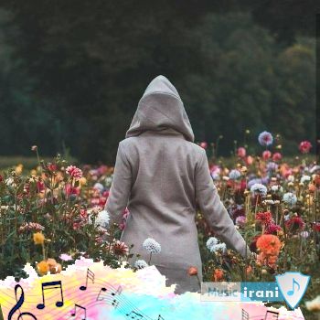 آهنگ گفتم بهت نرو دلت تنگ میشه واسه من یه روزی ریمیکس اینستا هوروش بند عرفان طهماسبی
