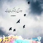 دانلود آهنگ خوشا آن روز که دلبر مال ما بود سریال پایتخت – جان لیلی مهدی کارگر
