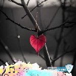دانلود آهنگ  پشت سرم غیبت کردن هی دورسمم قیمت کردن ریمیکس اینستا