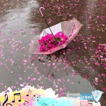 اهنگ لری شل بکو روسرینه لباس زر زرینه کامل - ریمیکس اینستا اهنگ لری شل بکو روسرینه لباس زر زرینه کامل - ریمیکس اینستا