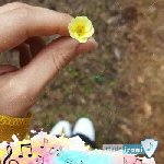 دانلود آهنگ از پشت صحنه میگن امروز تولدمه با صدای زن ریمیکس