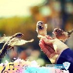 دانلود آهنگ به هر بچی که نمیشه گفت دختر اوف اره کردمش حسادتی (با صدای زدختر)