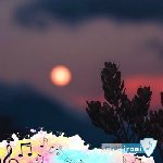 آهنگ اسپانیایی ceky viciny siempre la mas با صدای زن ریمیکس (همیشه بهترینم)