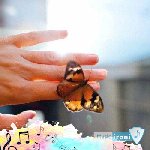 آهنگ  شده مد فاز گنگی زیر گیر همه استاد تختی ریمیکس اینستا