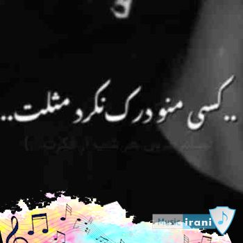 دانلود آهنگ کسی منو درک نکرد مثلت ریمیکس اینستا