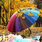 آهنگ یا قلبی صبر قلیل اینستا ریمیکس با صدای زن کامل ترند عربی